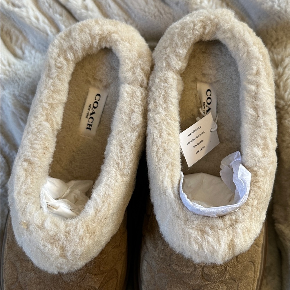 NIB | COACH Cecilia Clog in Signature Suede - Picture 7 of 13